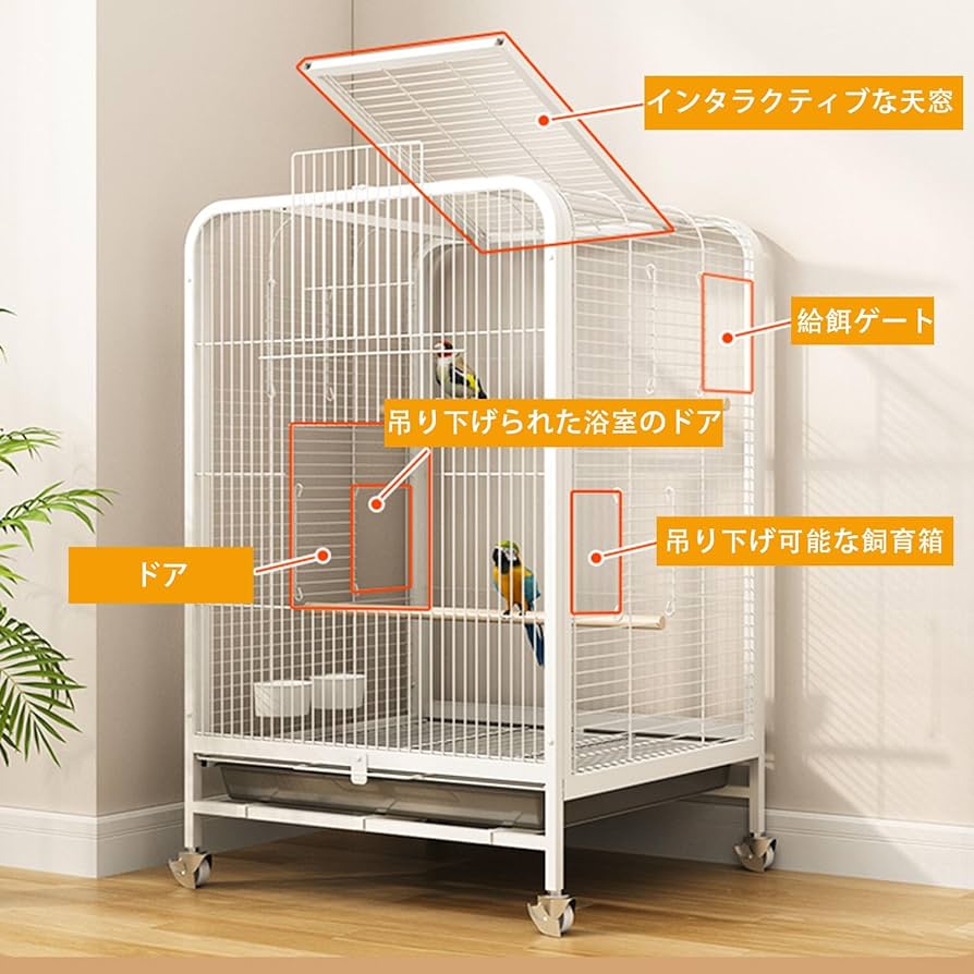 鳥籠2つ　箱セット売り 鳥籠2つ 箱セット売り 楽天市場】鳥かご 2 羽の通販